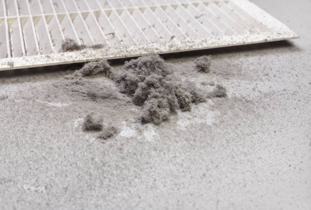 Best HVAC System Cleaning  in Ferndale, CA
