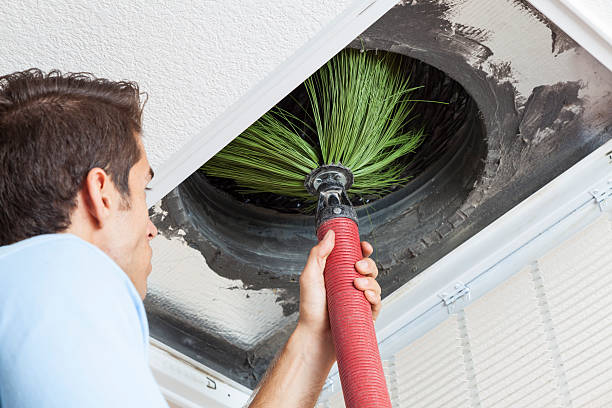 Best Affordable Air Duct Cleaning  in Ferndale, CA
